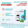 Sachol Fast Effect, Spray, 20ml