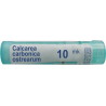 Boiron Calcarea carbonica ostrearum 10MK, 4 g