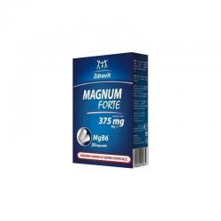 Zdrovit Magnum Forte 375...