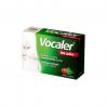 Vocaler bez cukru, 12 pastylek do ssania