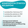 UroLact, kapsułki, 10 sztuk