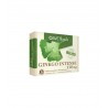 Ginkgo Intense 110mg, Avet Herbs, 60 tabletek
