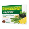 Scorbolamid na gardło, pastylki do ssania, 16 sztuk