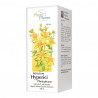 Intractum Hyperici Phytopharm, płyn doustny, 100 ml