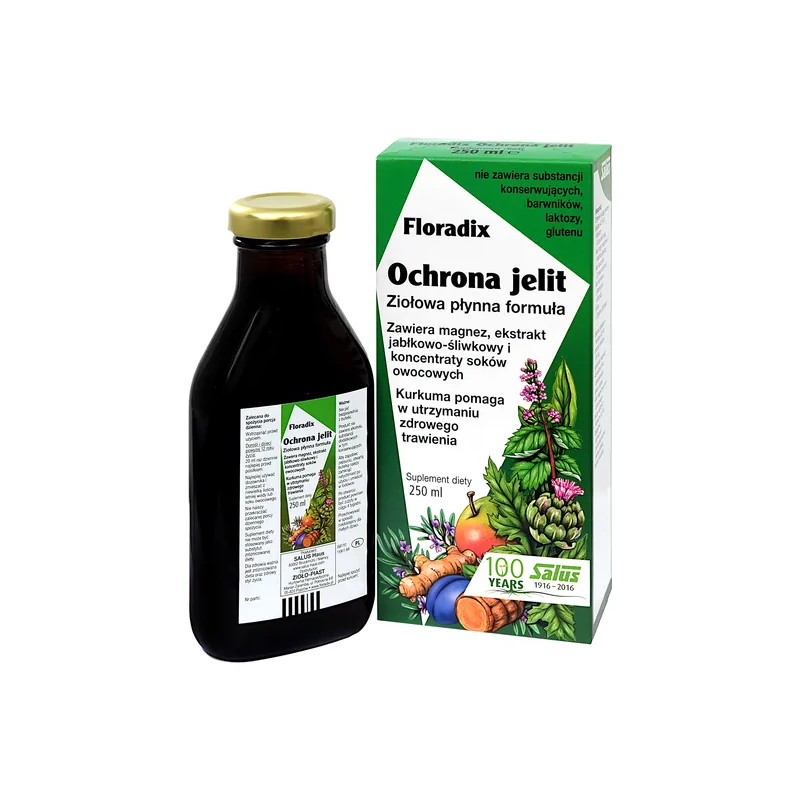 Floradix Ochrona Jelit, płyn, 250 ml