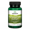 Ashwagandha Extrakt, 450 mg, kapsułki, 60 sztuk