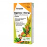 Floradix Odporność i Energia płyn, 250 ml