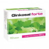 Ginkosal Forte, tabletki powlekane, 60 sztuk