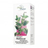 Intractum Melissae ,100 ml