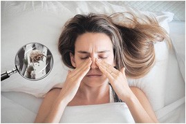 Alergeny roztoczy – jak się ich pozbyć ze swojego mieszkania?